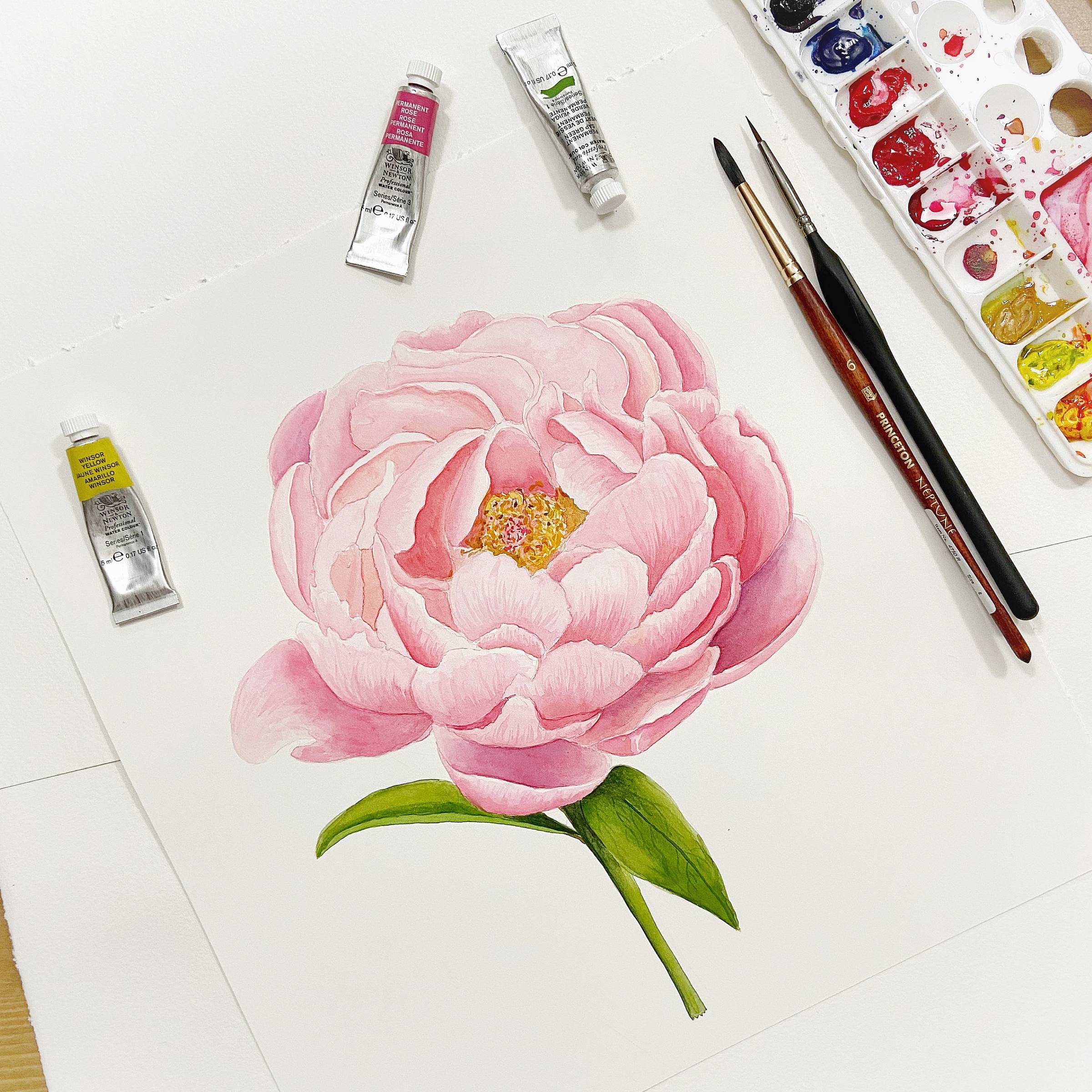 Watercolor Botanicals