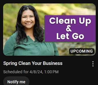 Screenshot of Gail's "Spring Clean Your Business" livestreamm