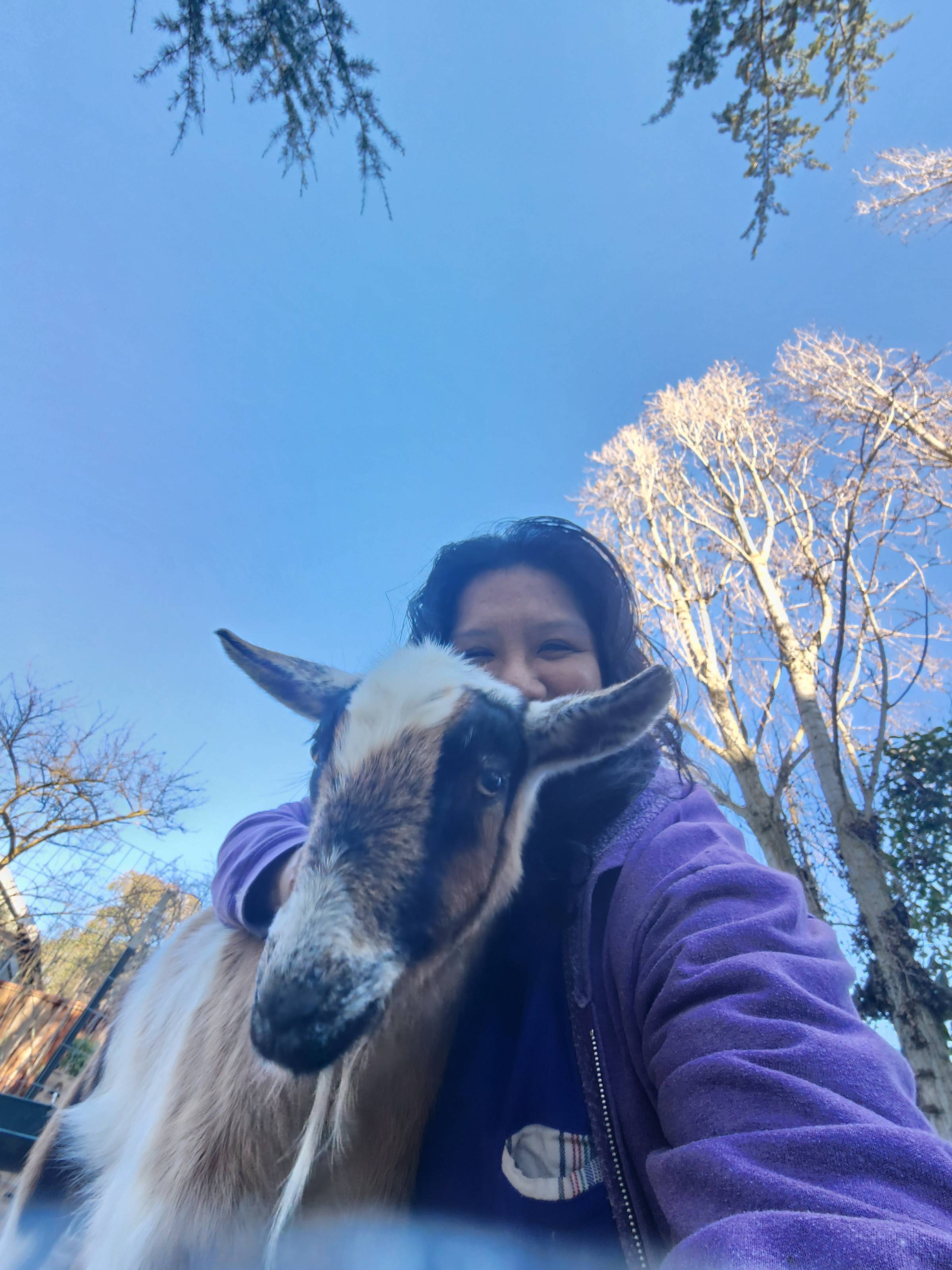 Gail hugging a goat
