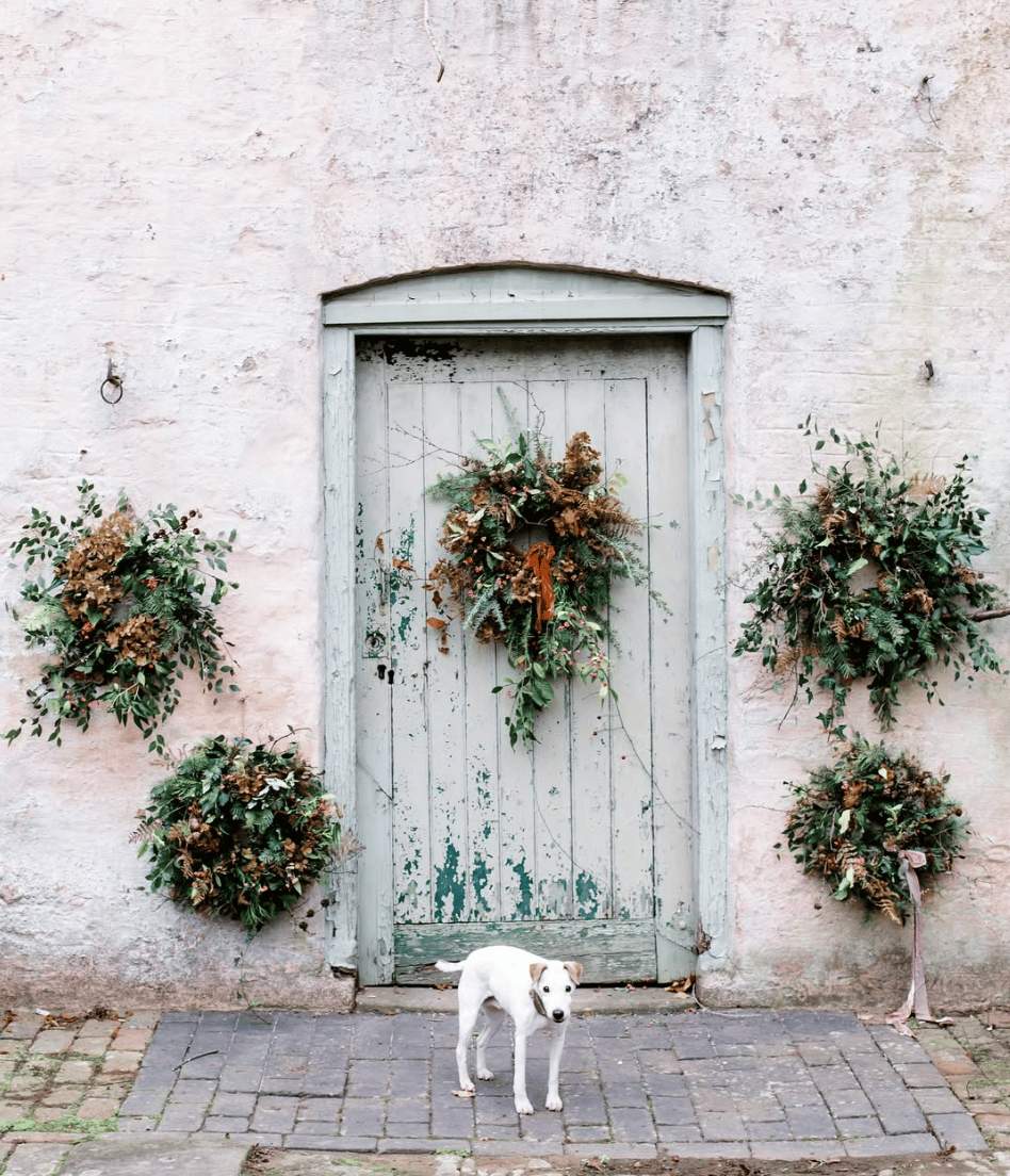 5 large evergreen and bay leaf wreaths hang on a stucco wall with a faded green door. A small terrier stands in front of the door.