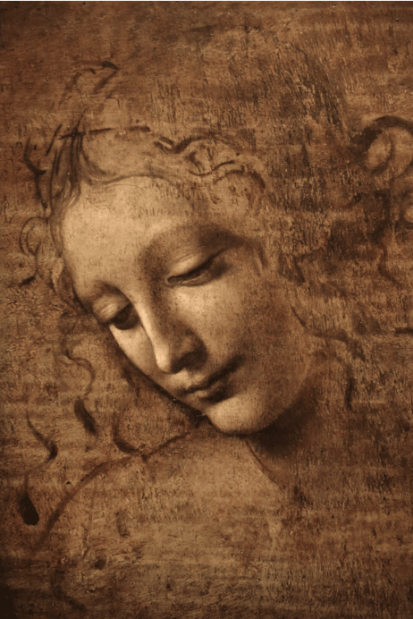 Leonardo Da Vinci's "La Scapigliata"