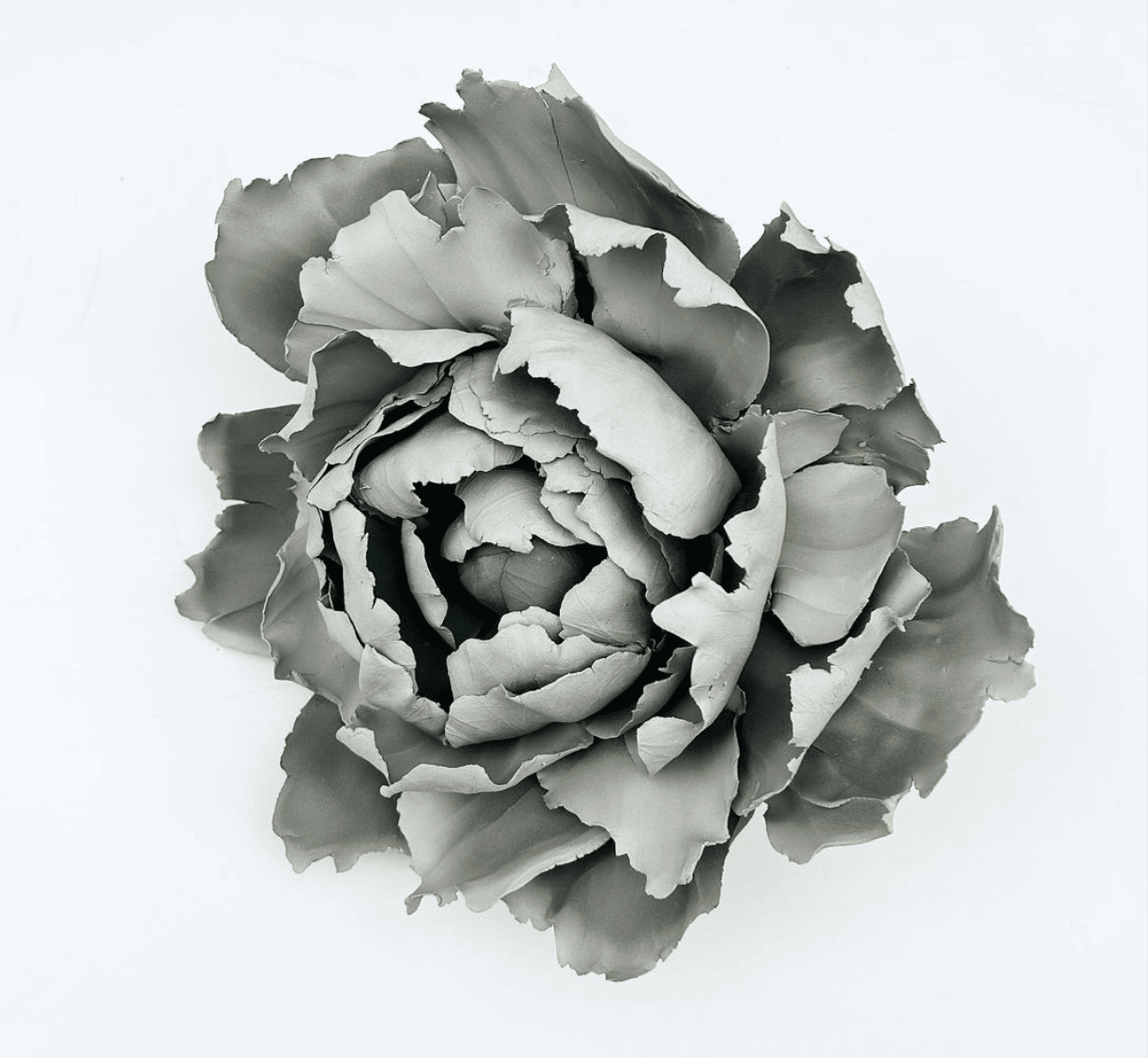 Image of a peony made out of clay by artist Phoebe Cummings