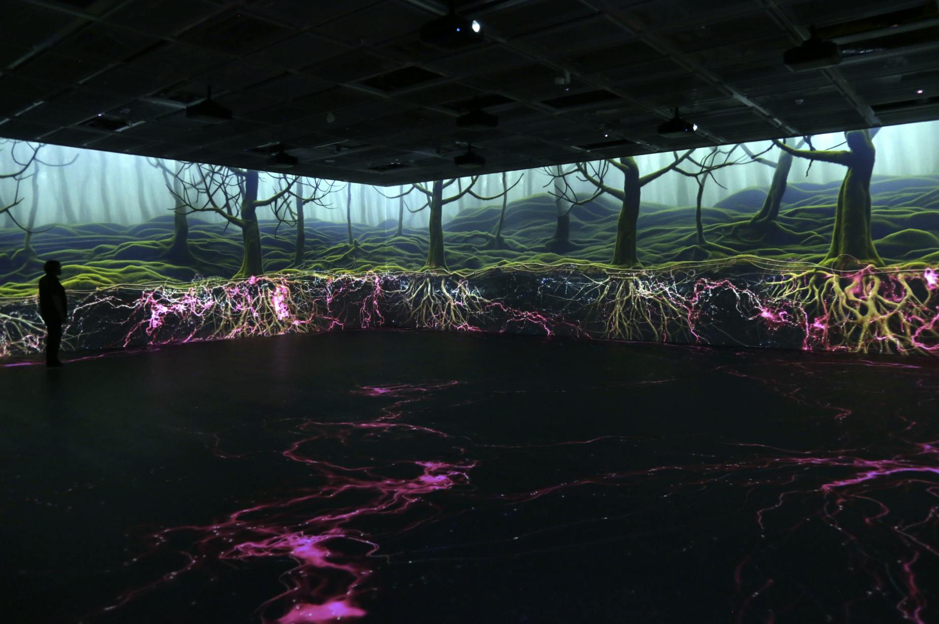A photo of Entanglement by Artificial Nature. This photo shows a large dark room with an AI generated forest on two walls. A purple fungal network is integrated with the tree root system and expands out onto the floor.