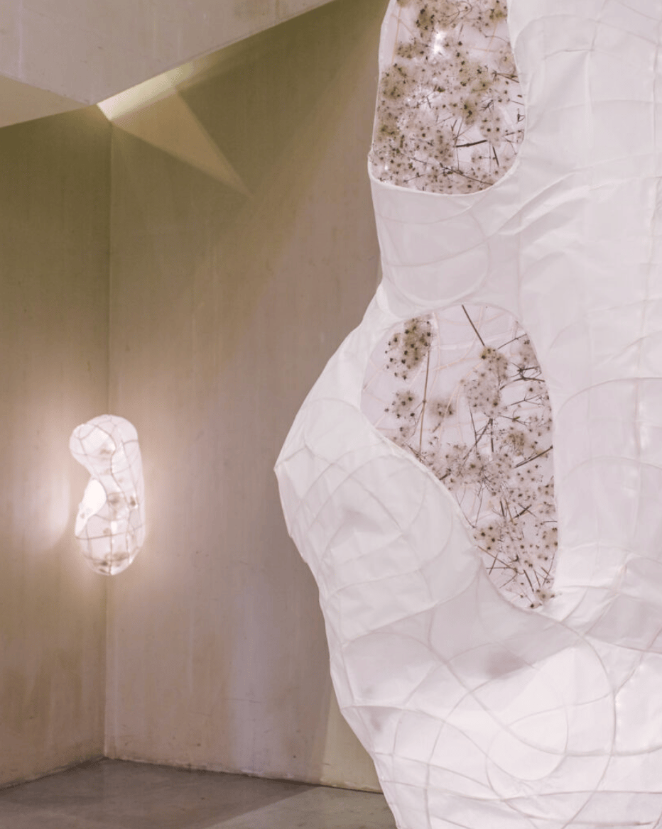 White rice paper over a curved form lets dried flowers peek through the gaps in the form.