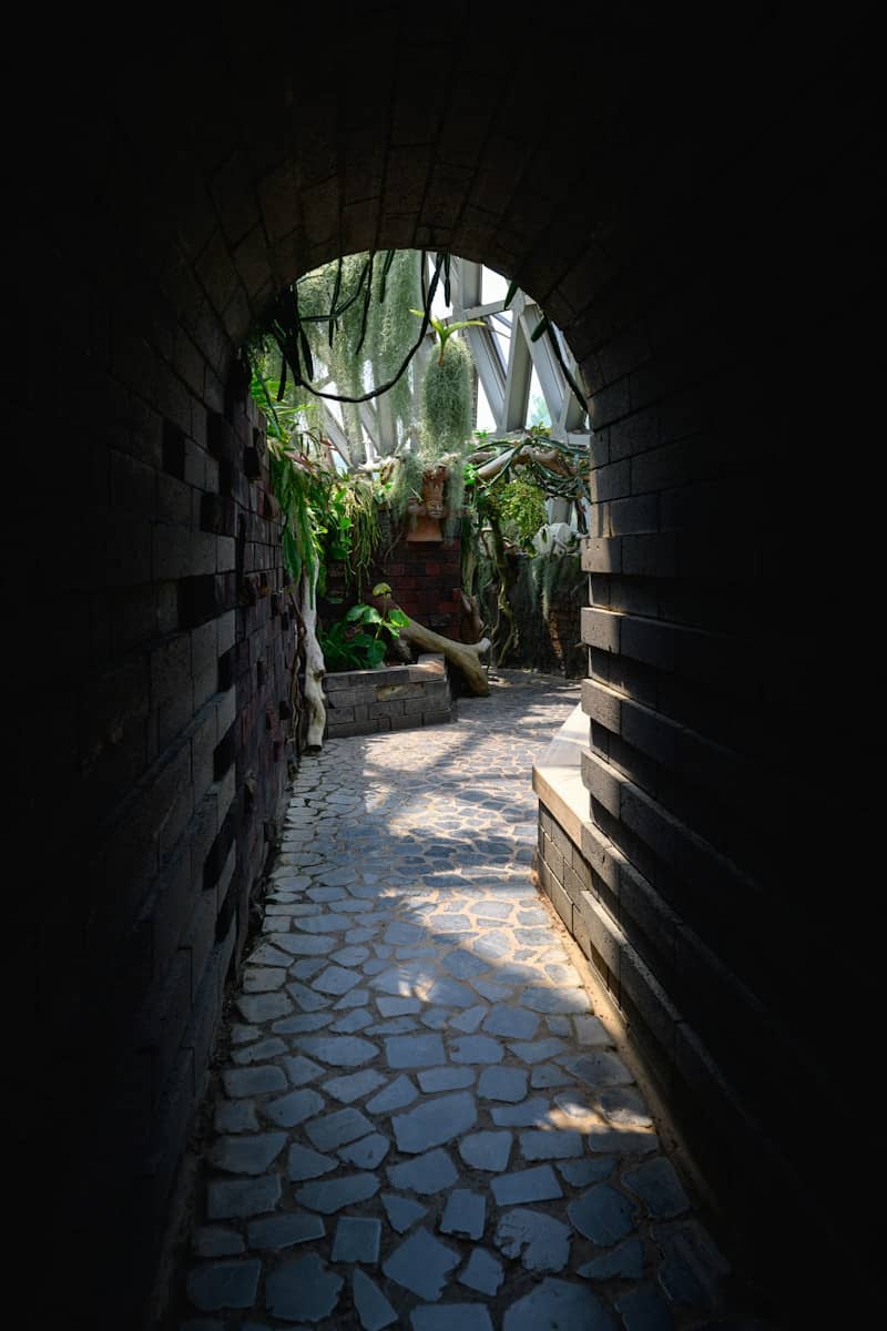 A dark tunnel leads to a lush, sunny garden.