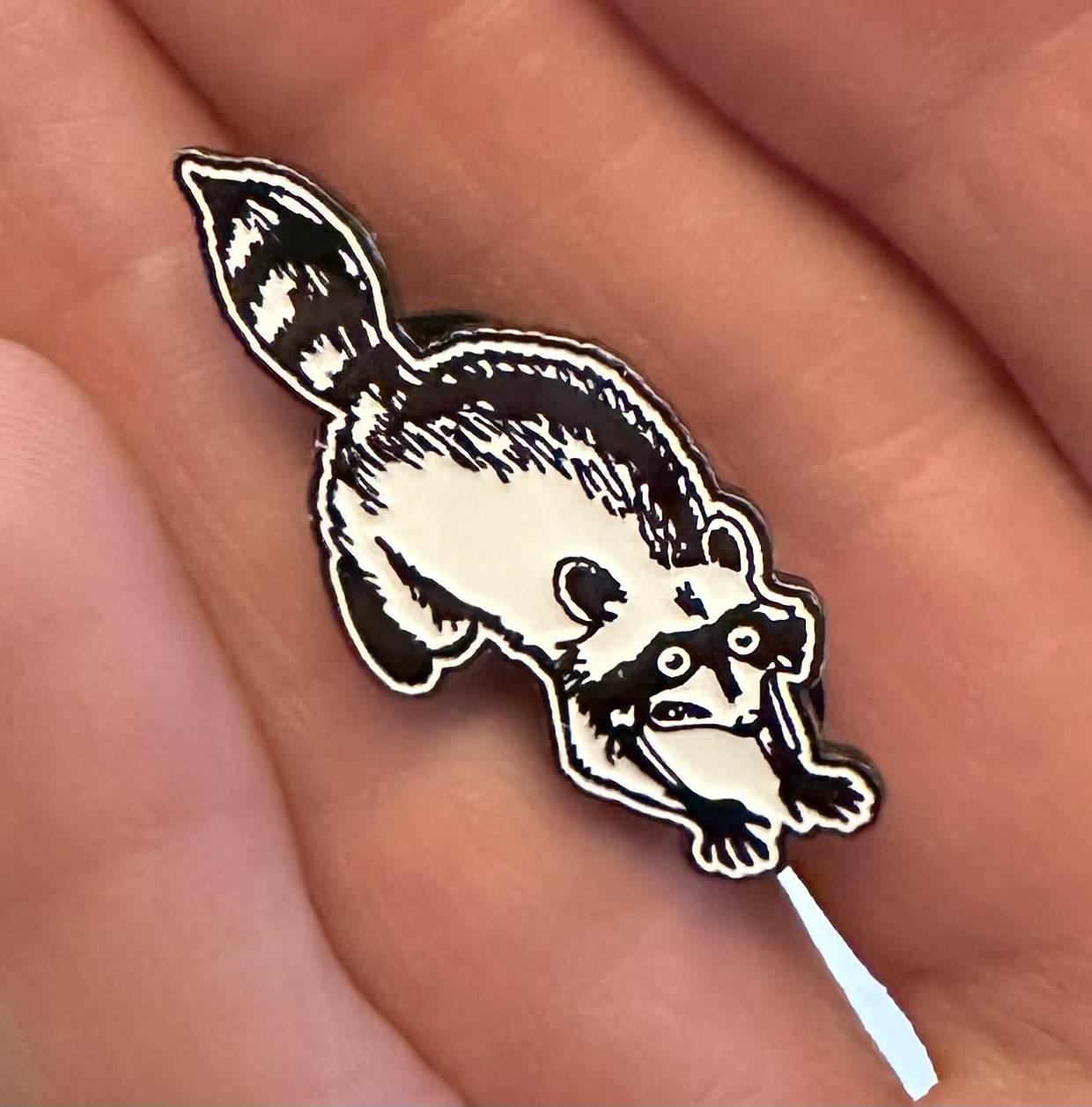 photo of an enamel pin of a raccoon