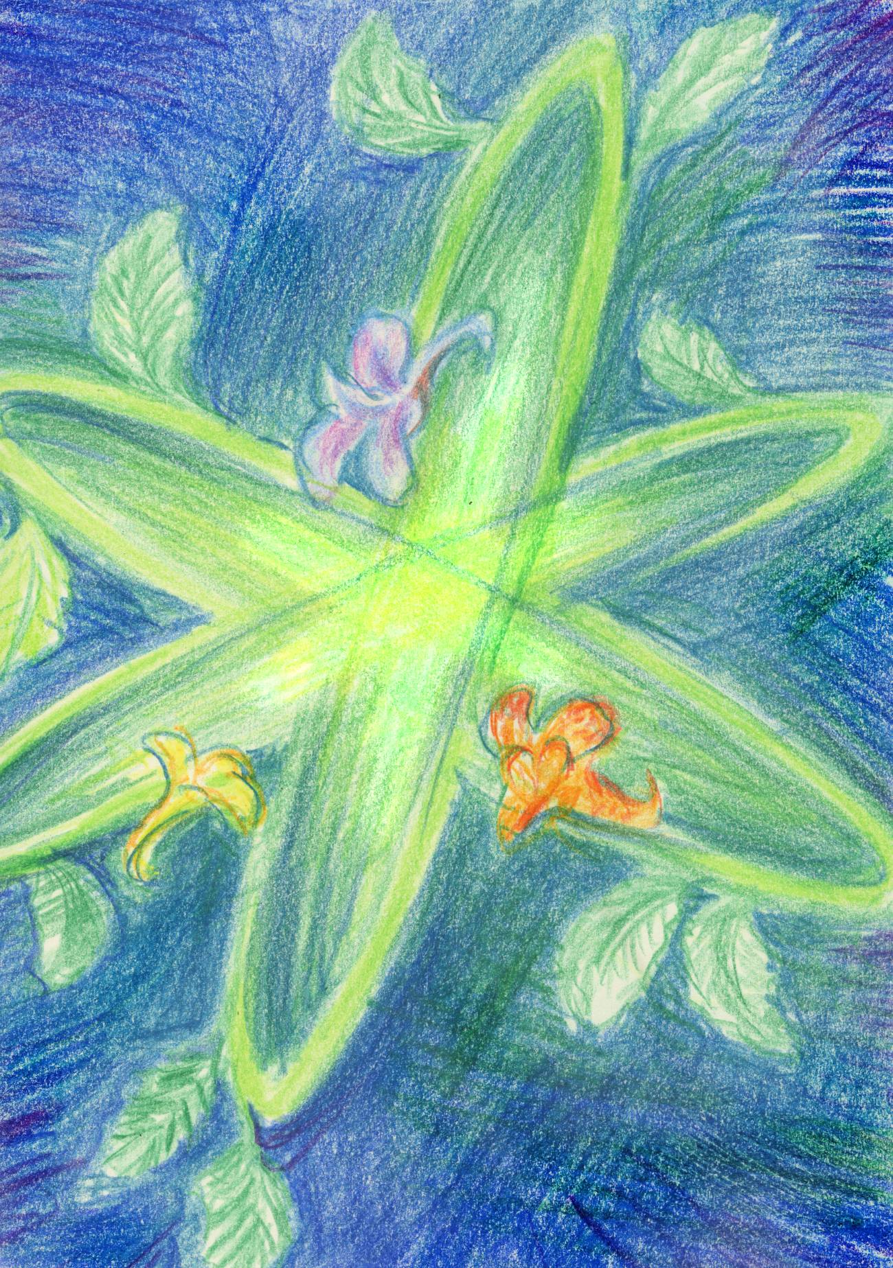 orange, yellow and violet jewelweed flowers accelerating toward each other in an atom pattern