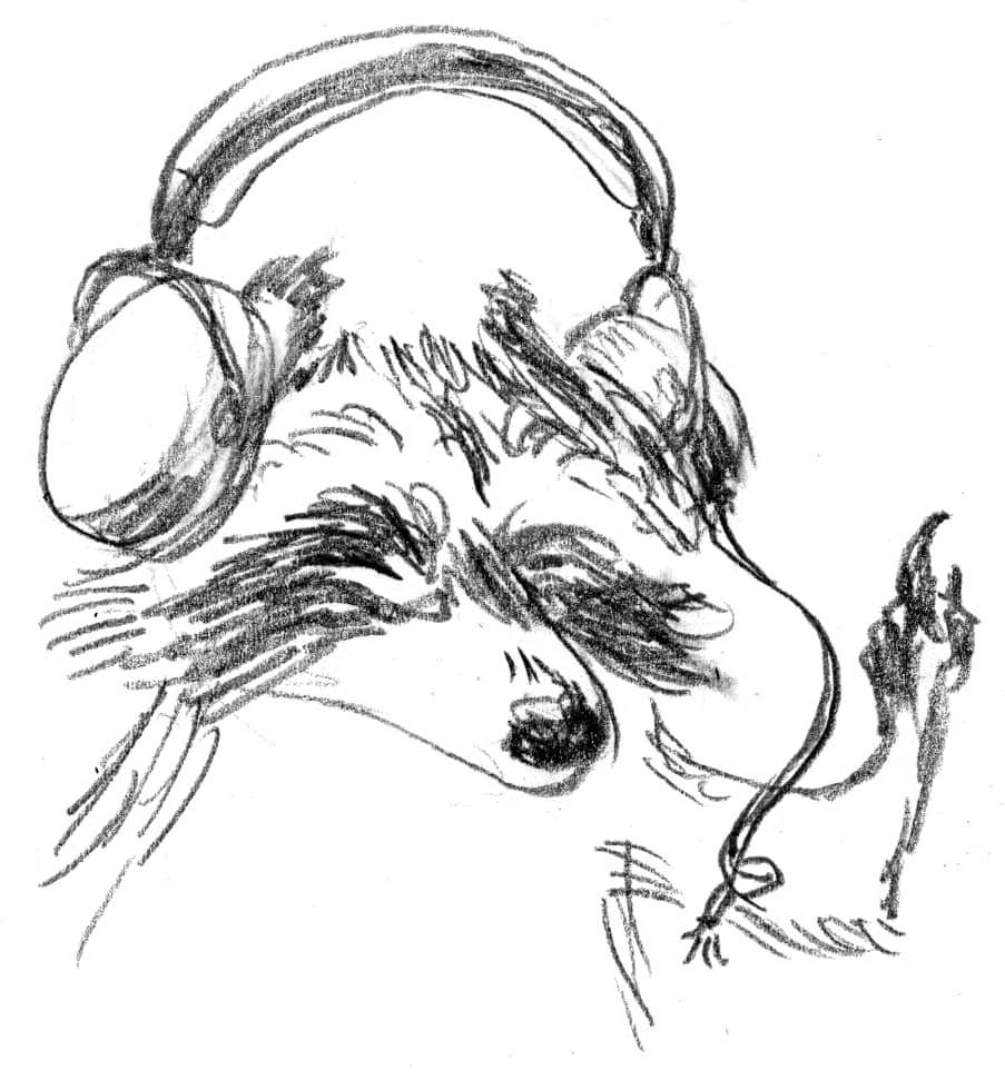 raccoon with eyes closed, one finger up to shush someone, wearing headphones with a disconnected cord