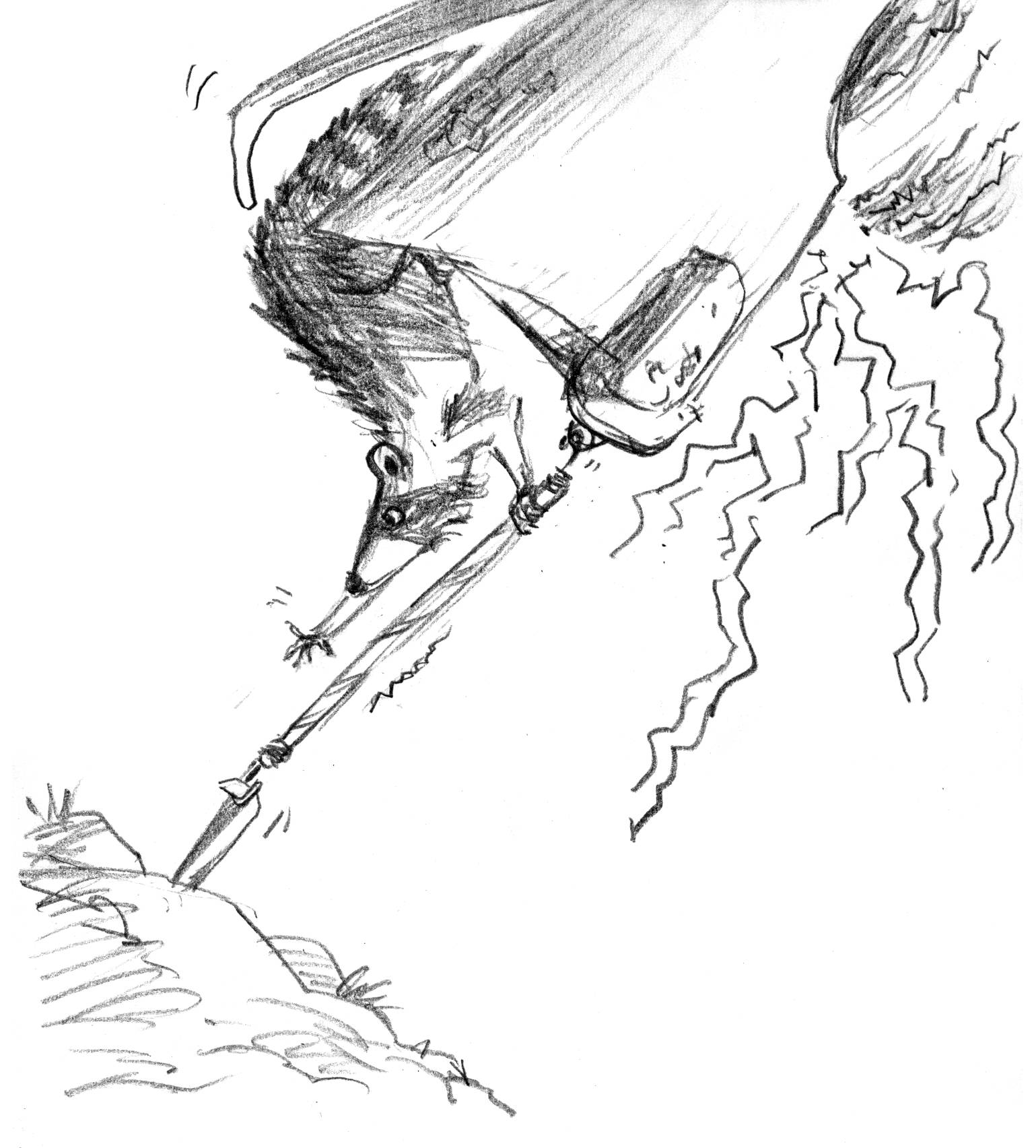 the back end of a cadillac strains to take flight, giving off lightning bolts and held to the ground by one taut bungie cord. A raccoon reaches out of the trunk to release the cord.