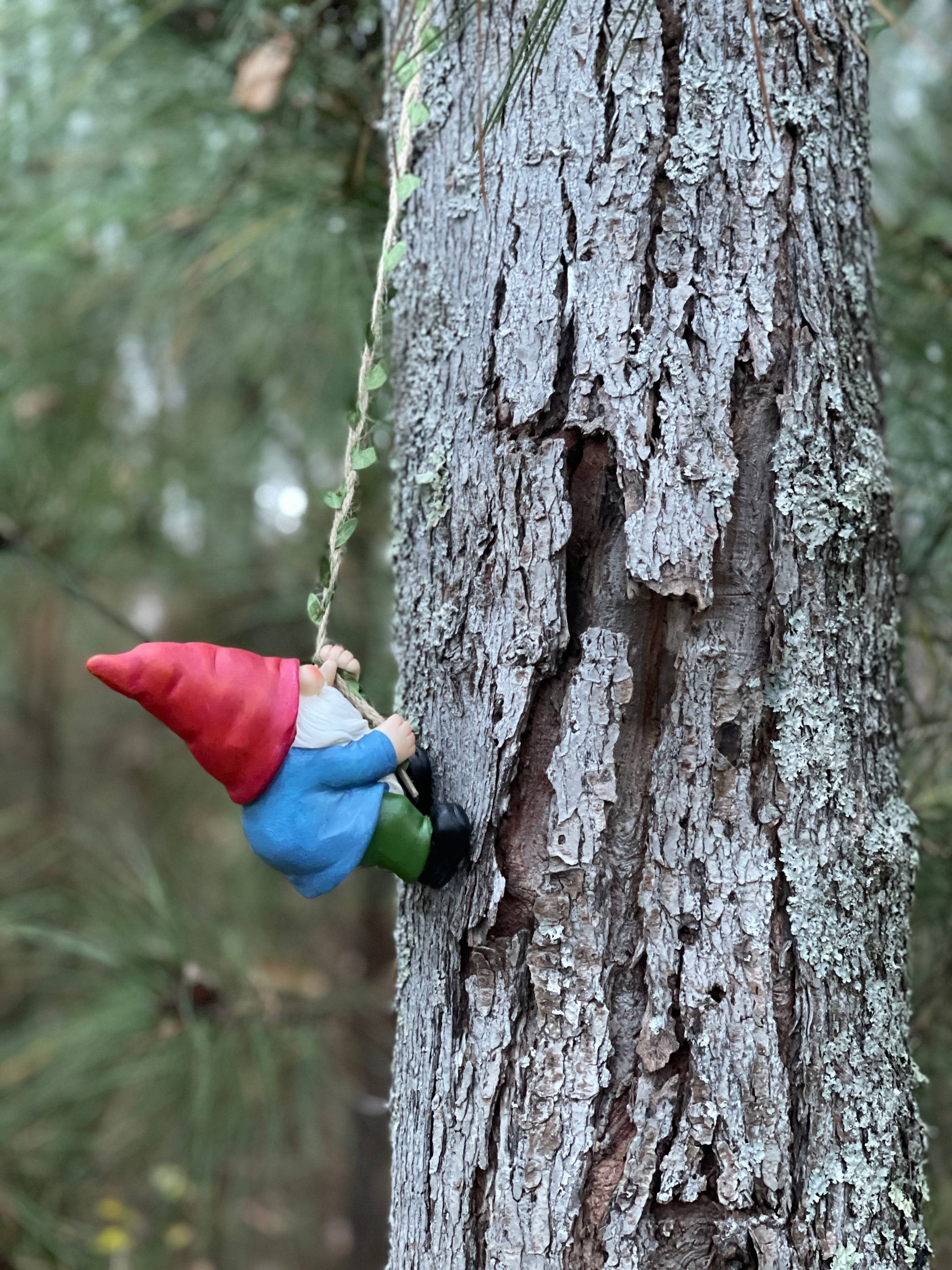 Whimsical gnome ascends to the heights