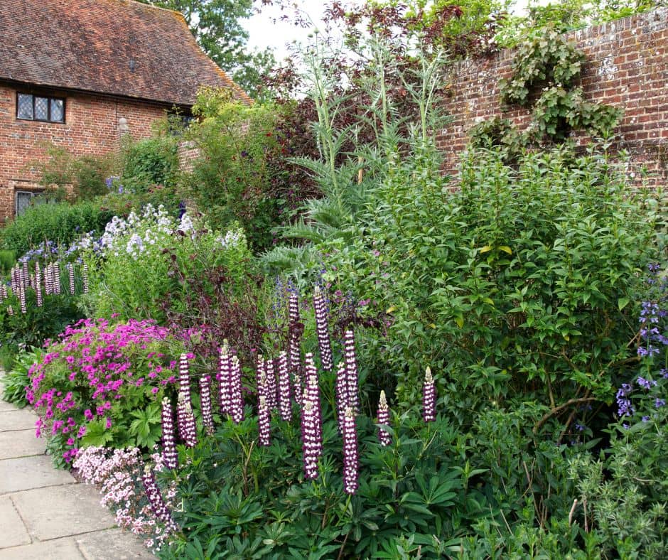 A vibrant cottage garden full of herbs and flowers.