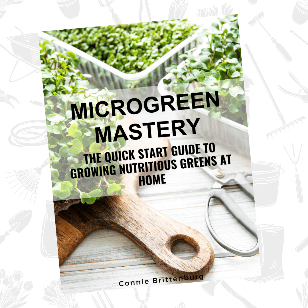 E book Microgreen Mastery - the quick start guide to growing nutritious greens at home.
