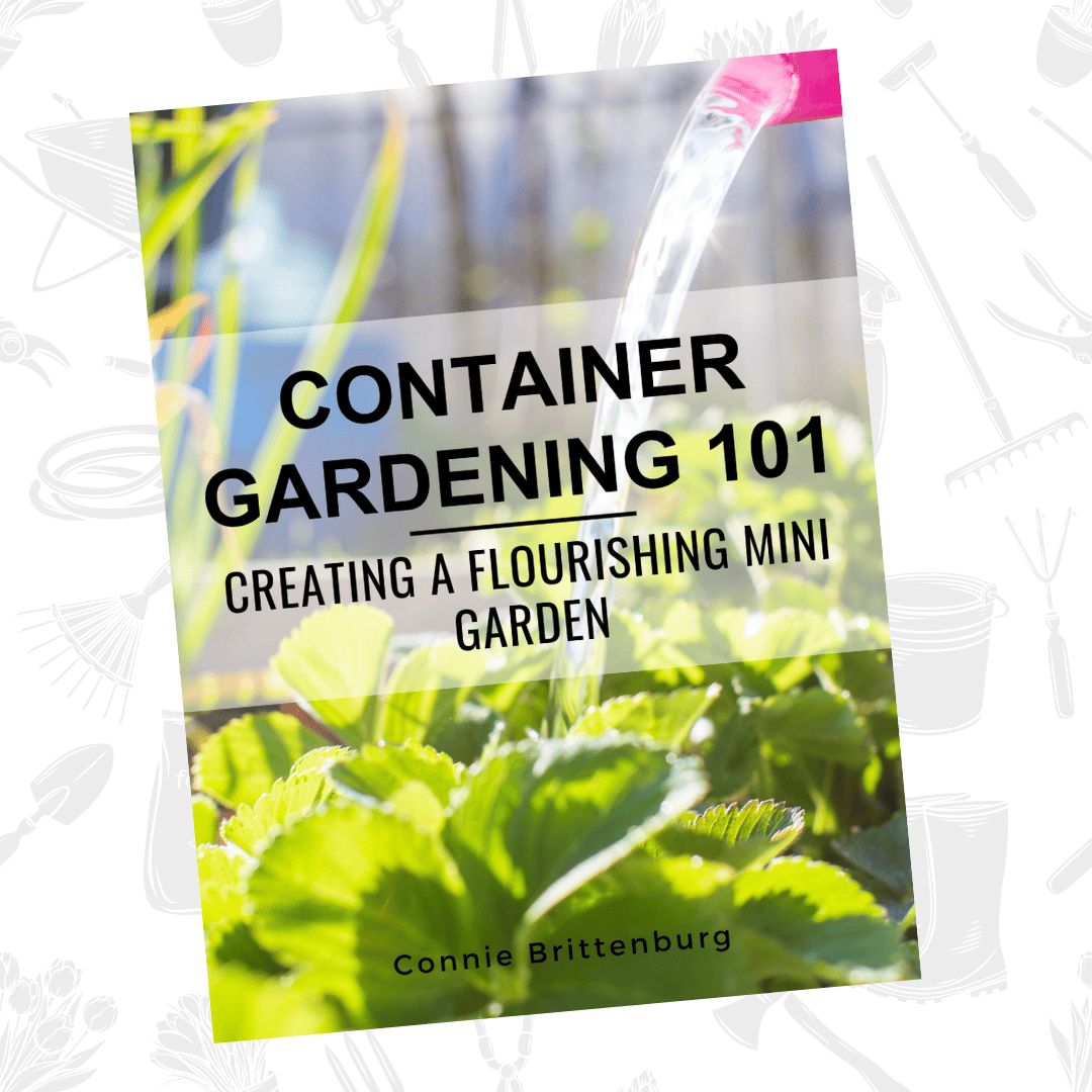 E book - Container Gardening 101 Creating a flourishing mini garden.