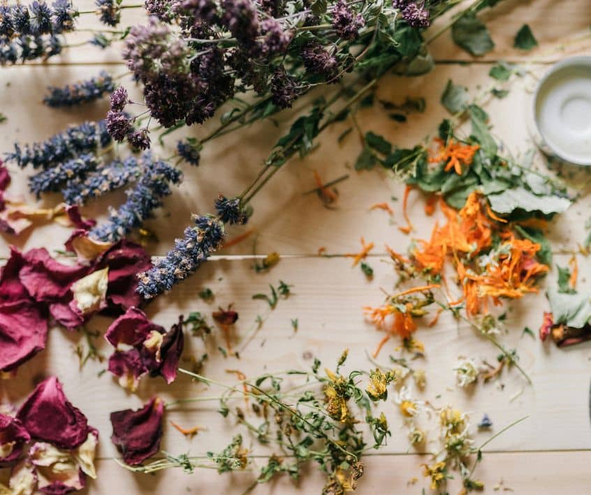 Dried flowers and Petals on a Wooden Table
