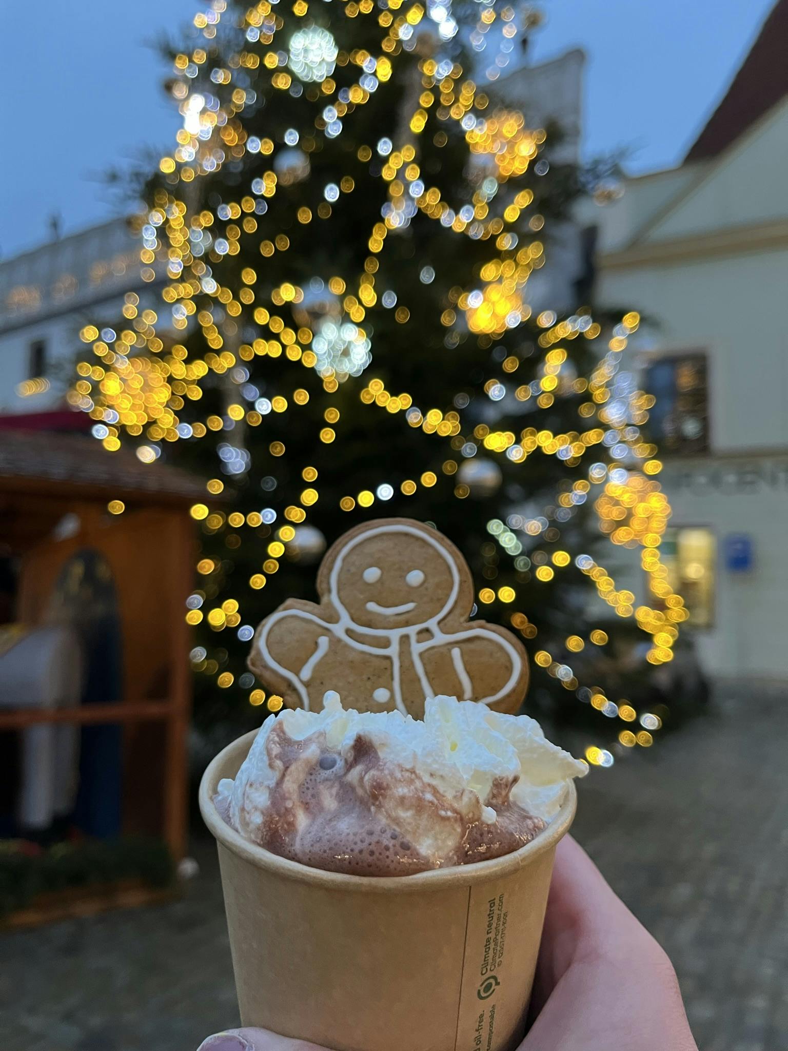 a gingerbread man sticking out of a cup of hot chocolate and a lit up Christmas tree in the background