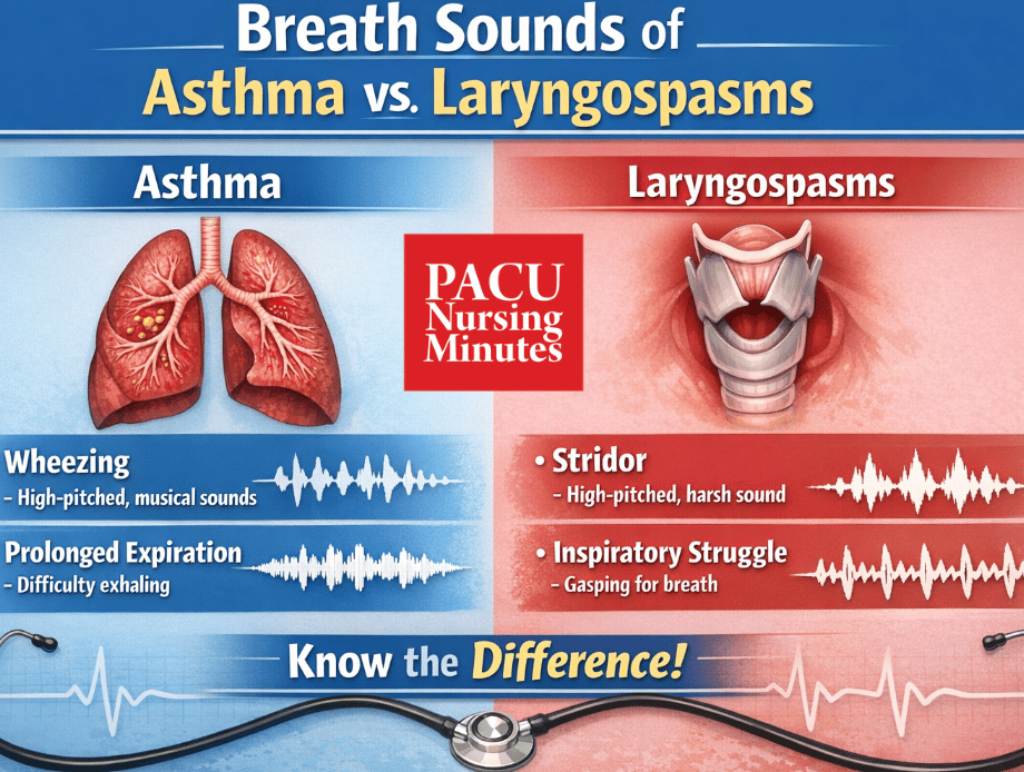 CPAN Practice Exam Question