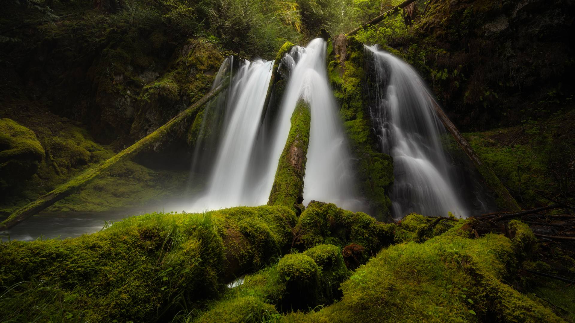Panther Creek Falls