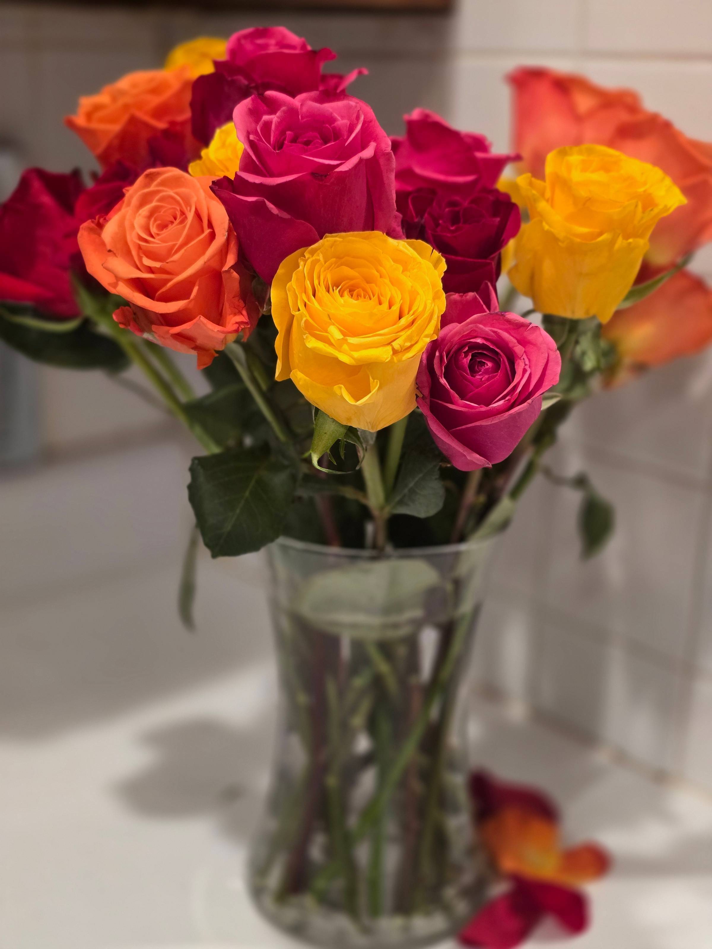 Prolong the beauty of roses