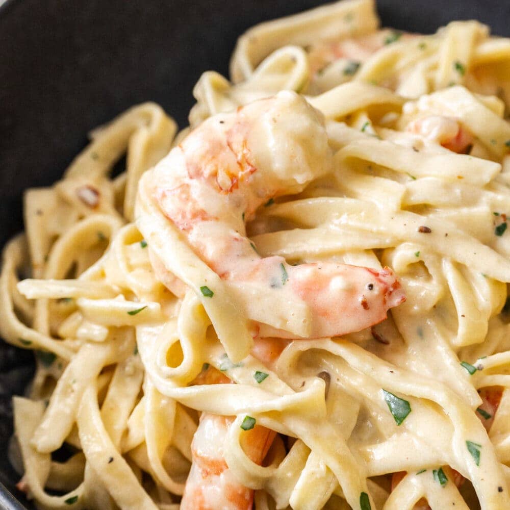 Closeup of a  prawn on top of pasta with a creamy sauce.