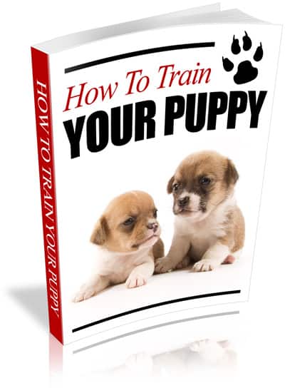 How To Train Your Puppy E-book