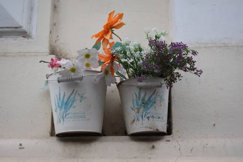 401(k) and Roth IRA are investment buckets