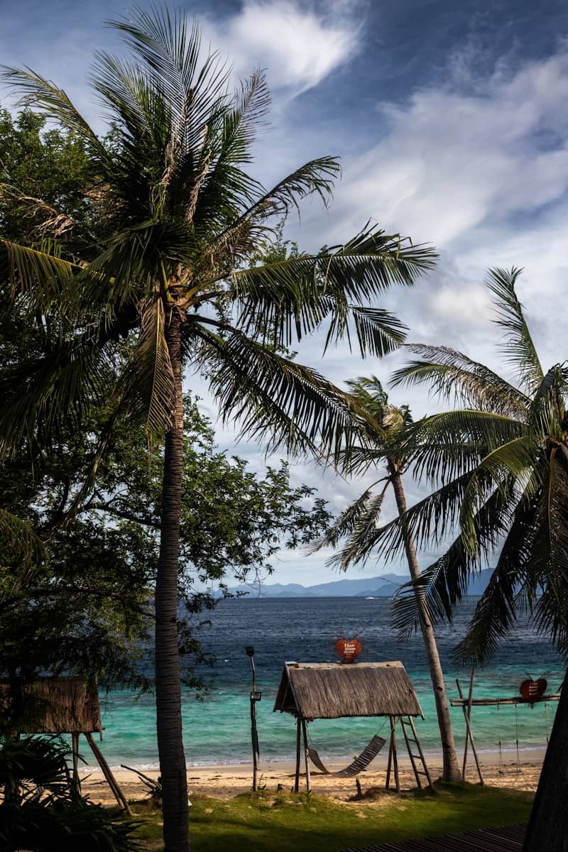 Tropical beach with palm trees and a hammock.