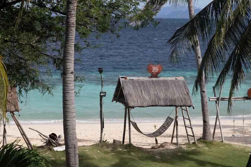 Tropical beach with palm trees and hammock