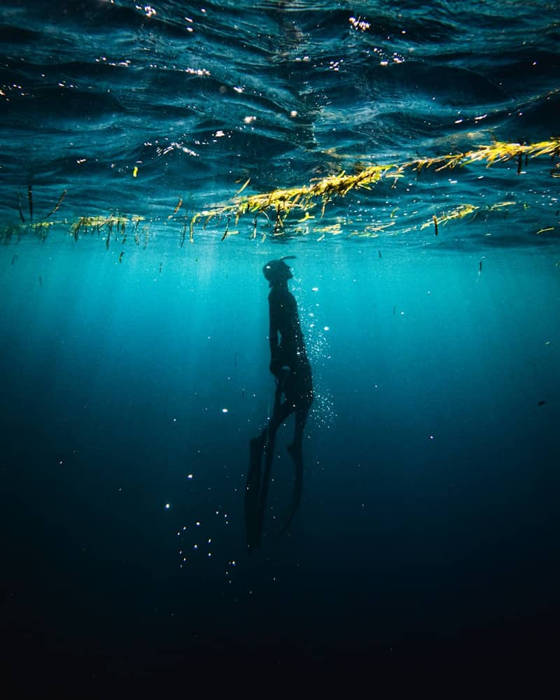 A freediver ascends in the deep, blue ocean.