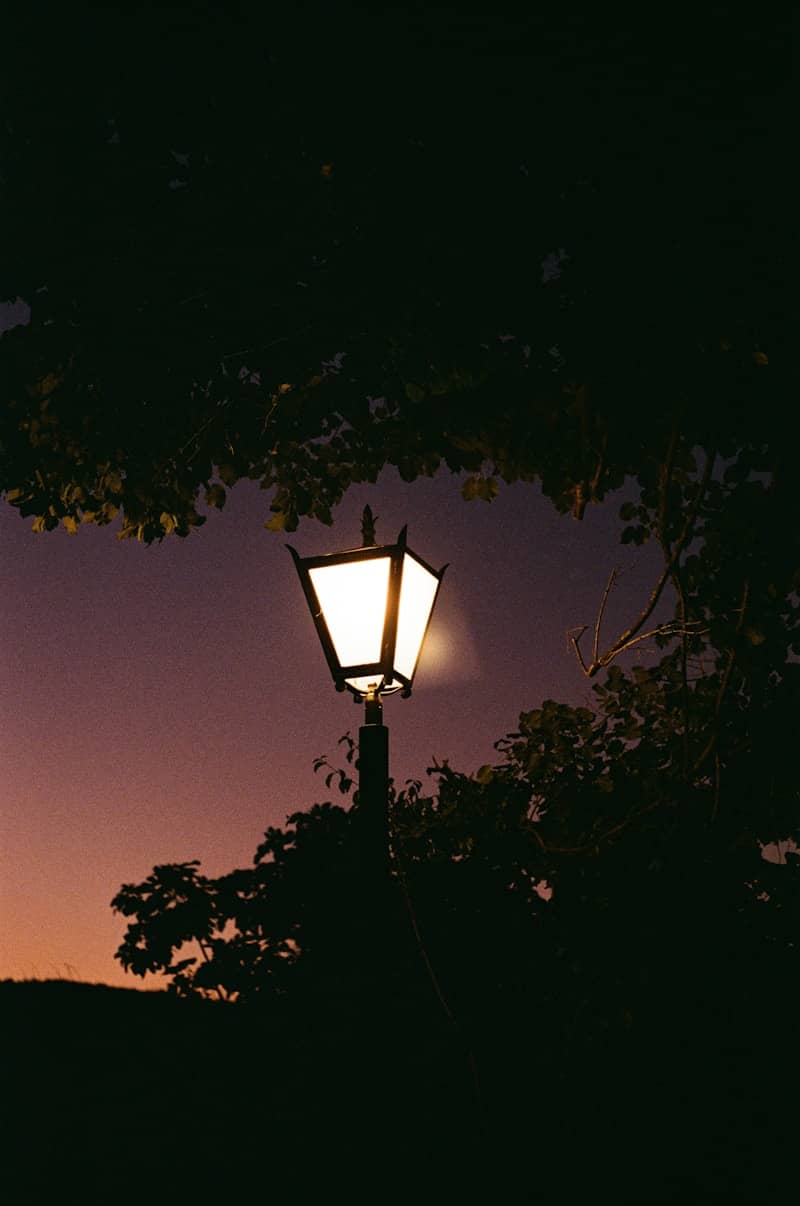 Garden lantern glowing against violet sunset and dark foliage