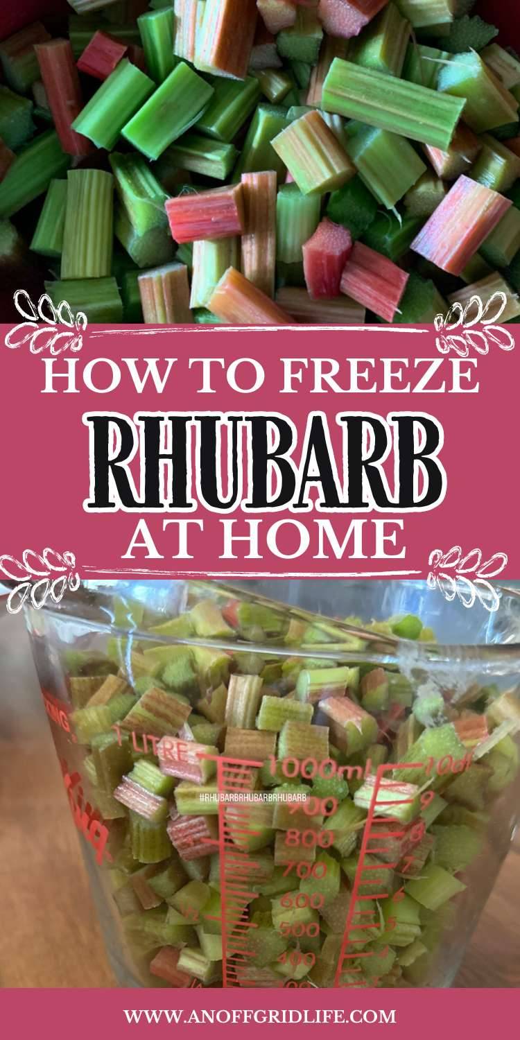 How to freeze rhubarb at home.