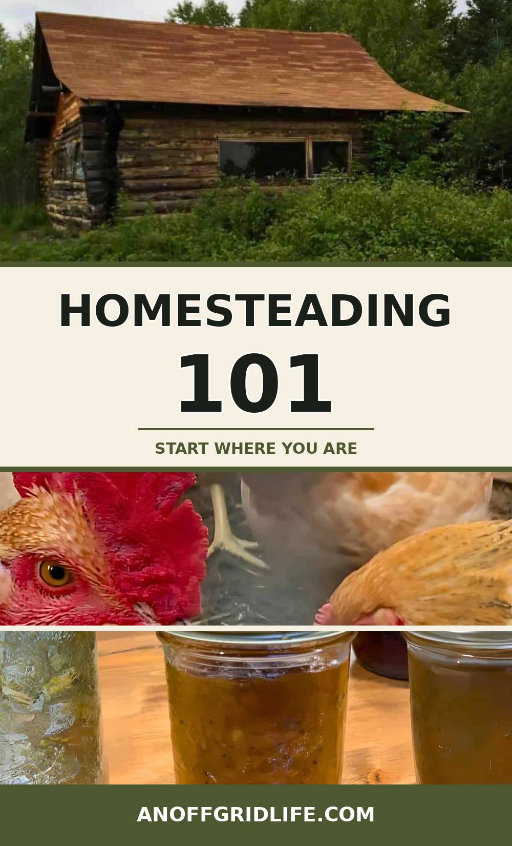 Homesteading 101