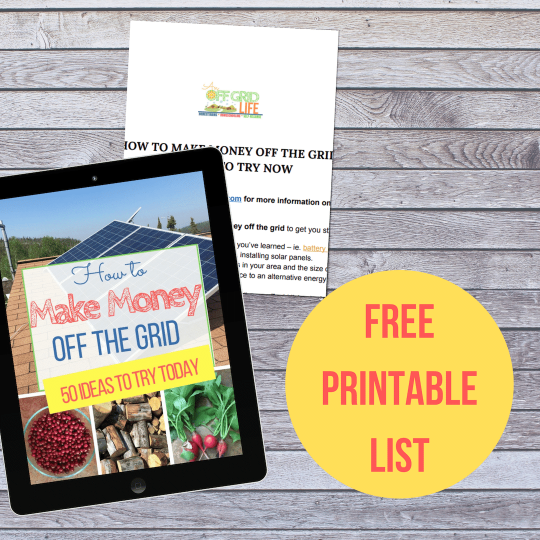 Making Money Off the Grid: Creative Ways and Opportunities