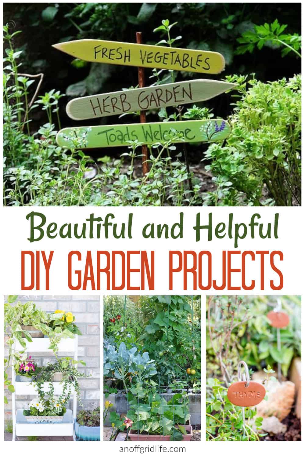 Beautiful and helpful DIY garden projects
