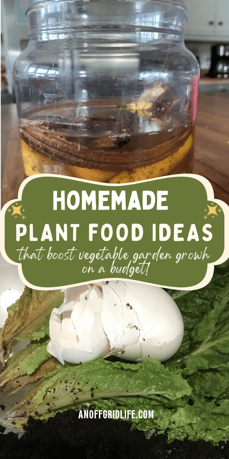 Homemade Plat Food Ideas