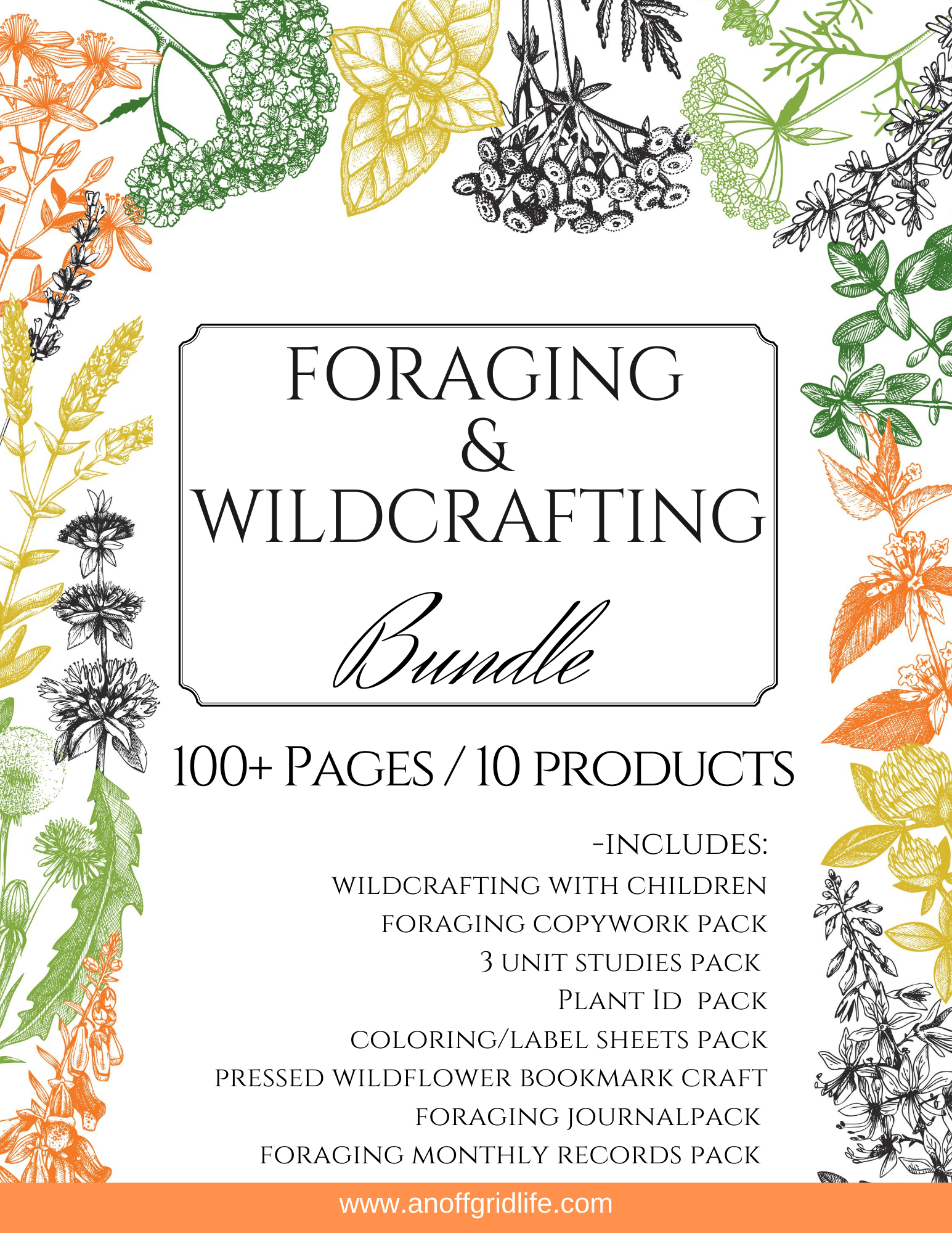 Foraging and Wildcrafting Bundle