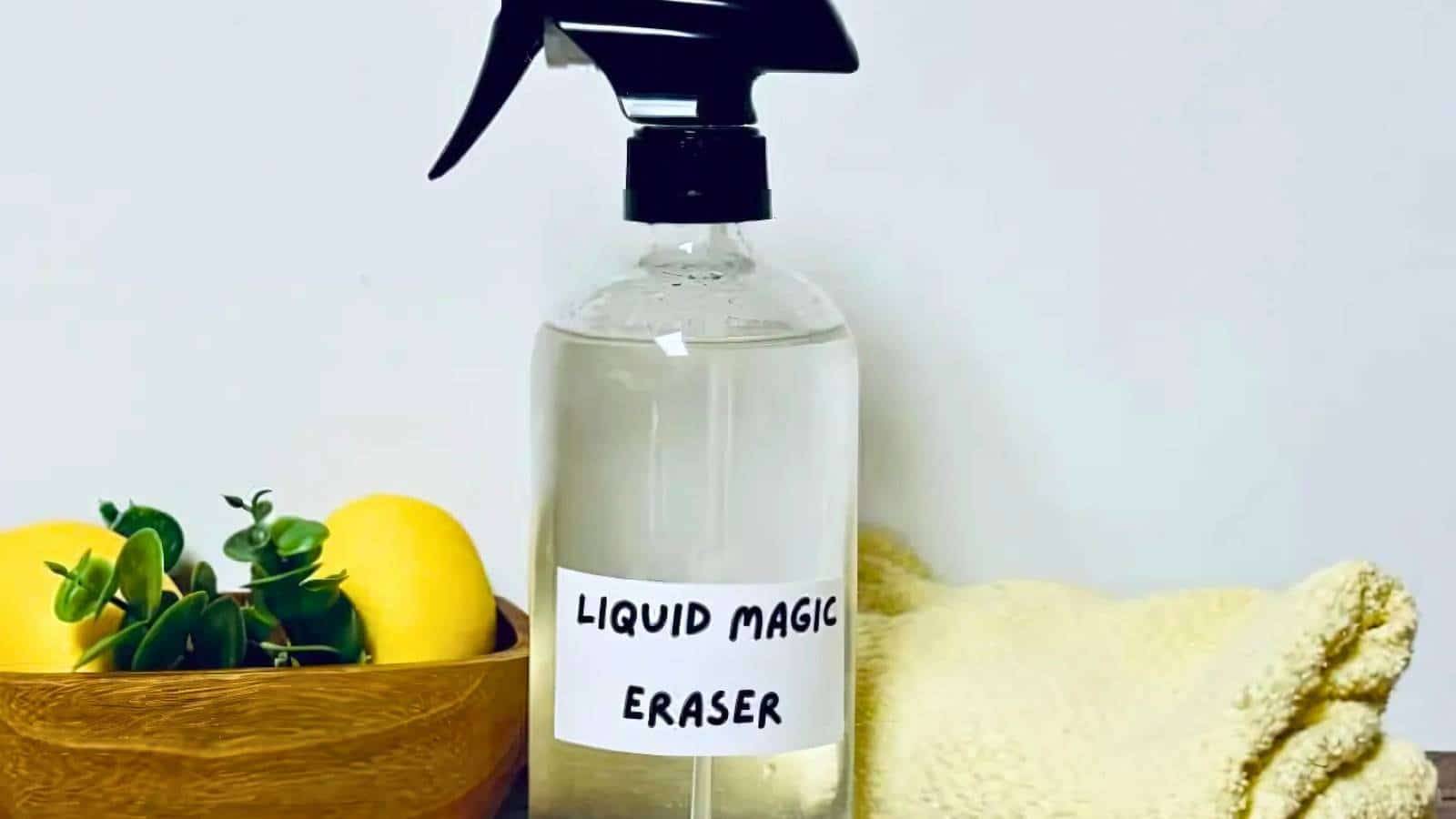 Homemade liquid magic eraser
