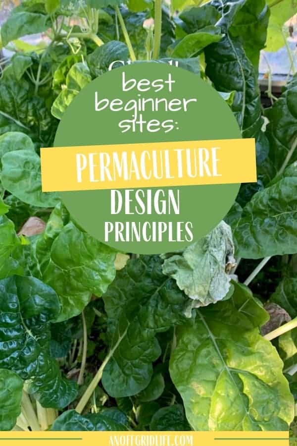 Permaculture Design Principles