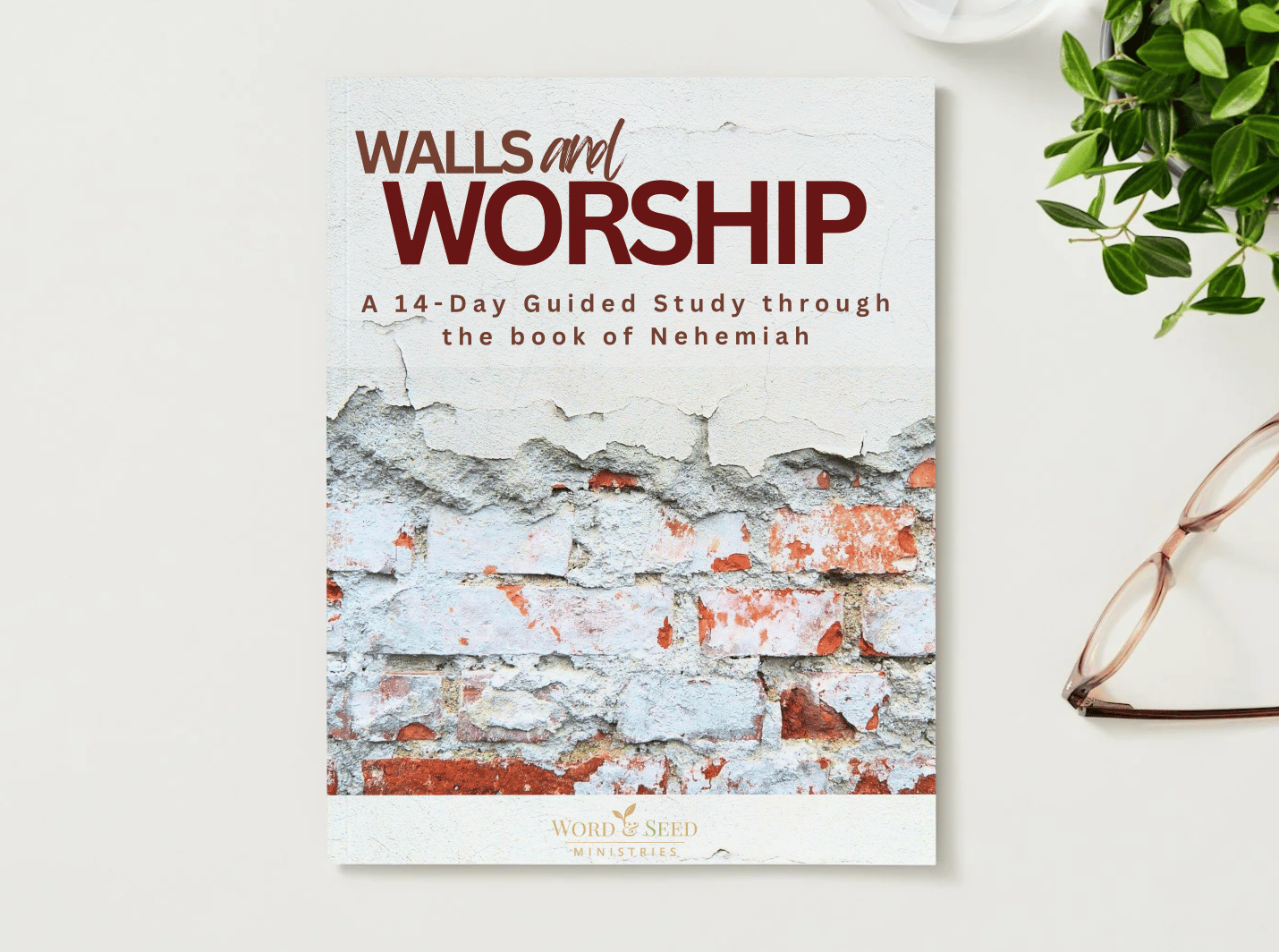 Nehemiah Companion Study Guide