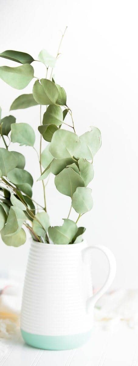 green plant potted on white ceramic vase