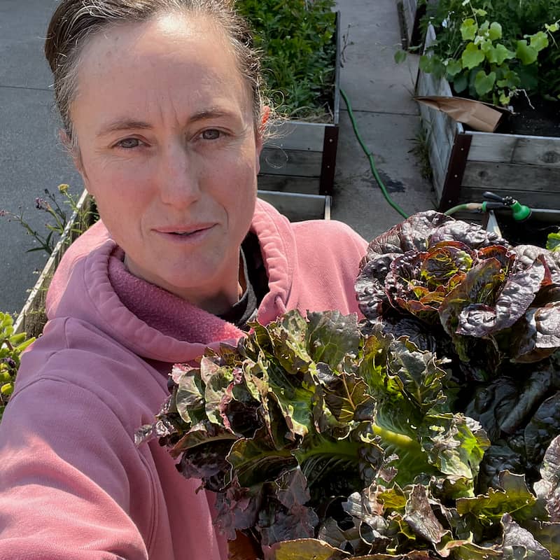 Anne holding the tray of lettuces with the Orta studio garden of raised beds in the background.
