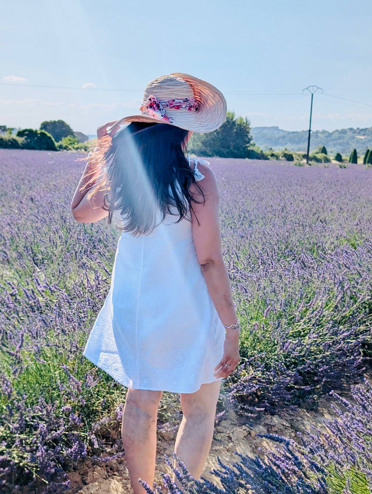 Savoring Provence ??: Food, wine & a little inspiration