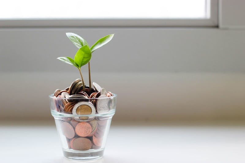 A clear jar of coins is sprouting a plant