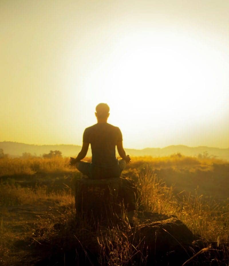 man in black shirt sitting on brown grass during daytime