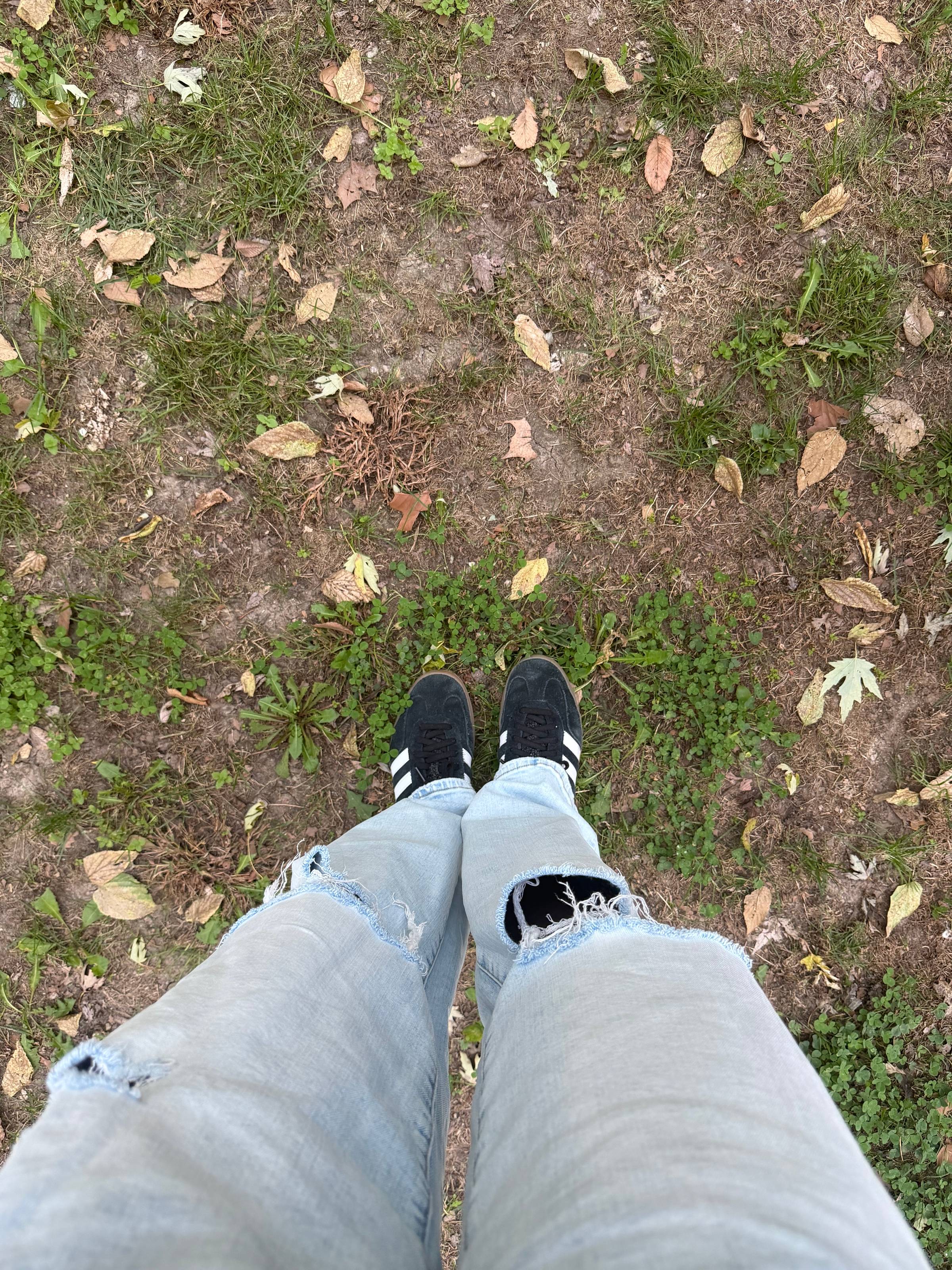 Standing amongst the leaves