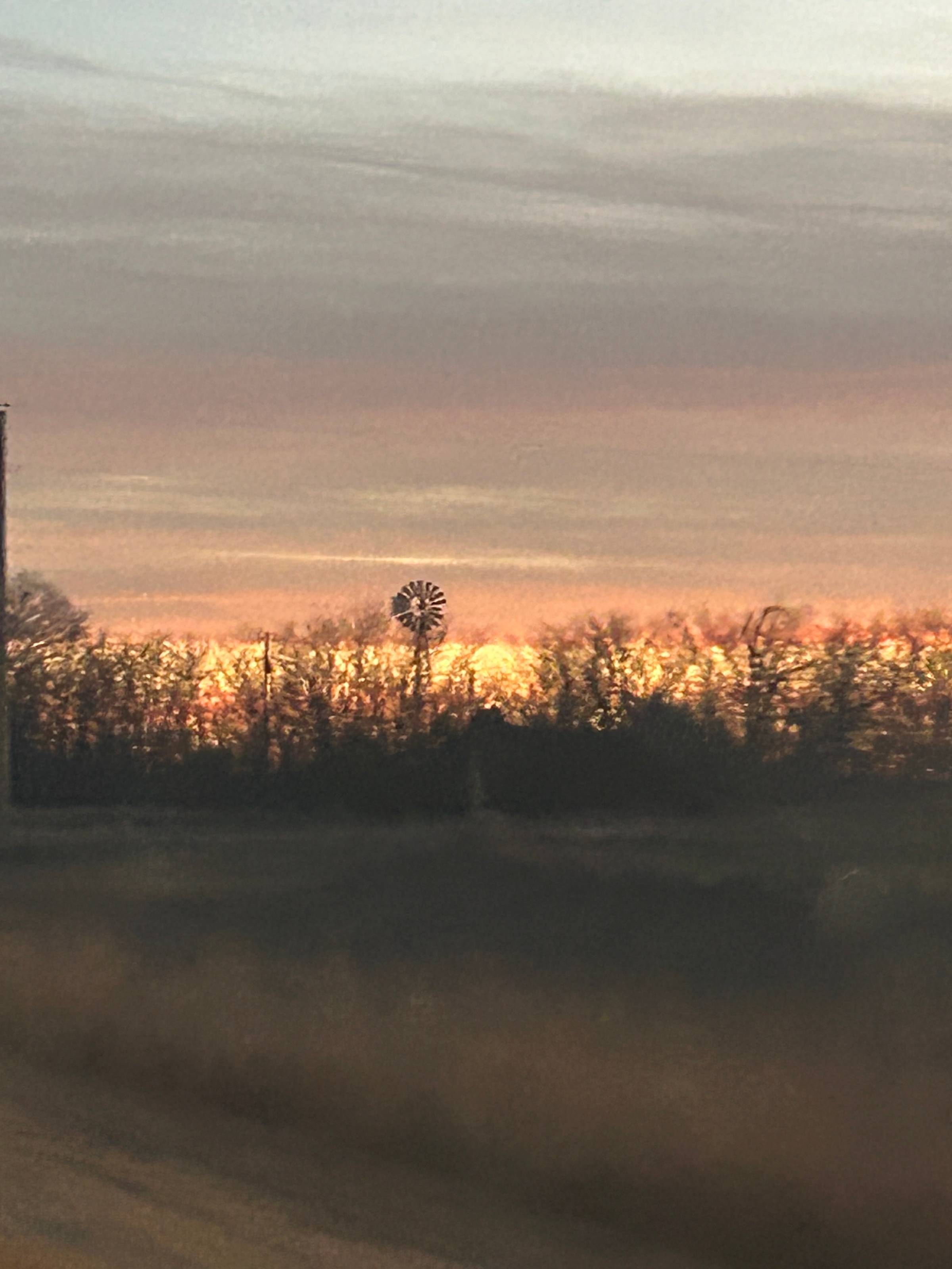 windmill sunset