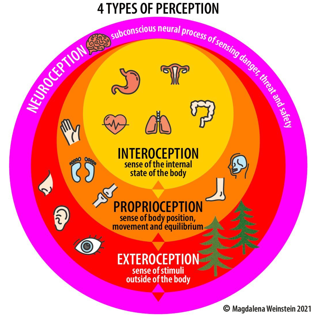 iagram showing the three perceptual systems — exteroception, proprioception, and interoception — and how they feed into nervous system safety