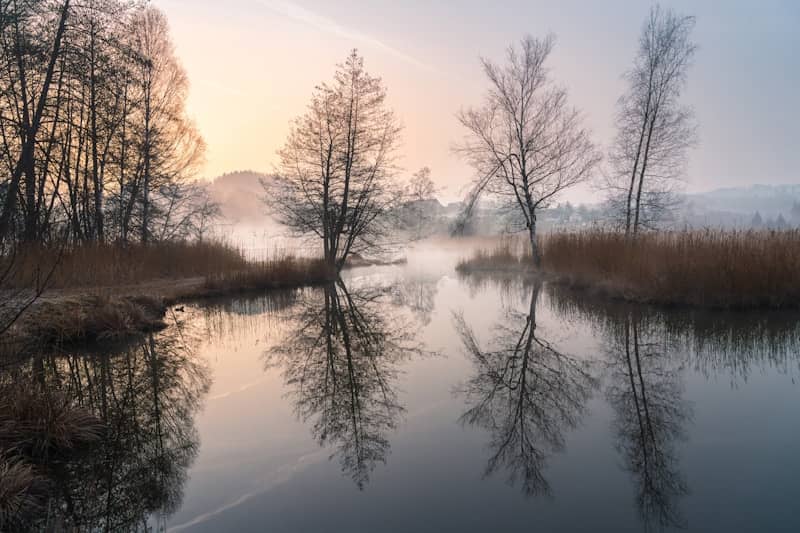 Misty river reflects bare trees at sunrise