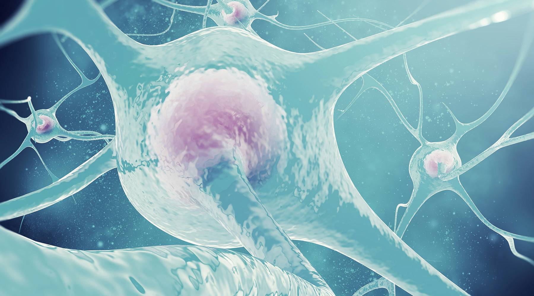 brand strategy one thing psychology brain synapses 