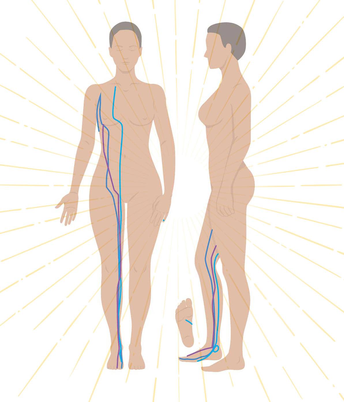 Liver, Spleen & Kidney meridians connecting feet to pelvis