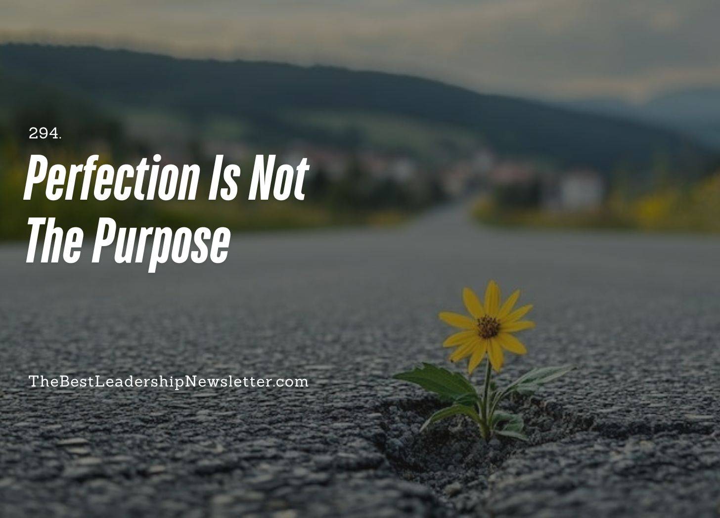 The Best Leadership Newsletter Ever - Perfection Is Not The Purpose